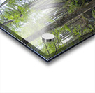 Crooked Brook - North Woodstock New Hampshire Acrylic print