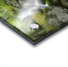 Cold Brook - Low and Burbanks Grant New Hampshire Acrylic print