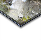 Flume Brook - Franconia Notch New Hampshire Acrylic print