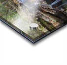 Tecumseh Brook  - Waterville Valley New Hampshire Acrylic print