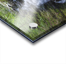 Gordon Fall - Randolph New Hampshire  Acrylic print