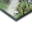 Walker Brook - Woodstock New Hampshire Acrylic print