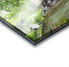 Kinsman Notch - North Woodstock New Hampshire  Acrylic print