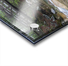 Pemigewasset River - Franconia Notch State Park New Hampshire U Acrylic print