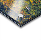 Boulder Loop Trail - White Mountains New Hampshire Acrylic print