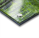 Osseo Trail - White Mountains New Hampshire Acrylic print