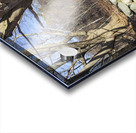 Odiorne Point State Park - Rye New Hampshire Acrylic print