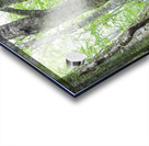 Kinsman Notch - White Mountains New Hampshire Acrylic print