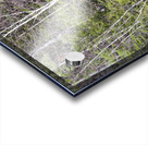 Kancamagus Highway - White Mountains New Hampshire Acrylic print