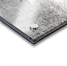 Franconia Bike Path - Franconia Notch New Hampshire Acrylic print