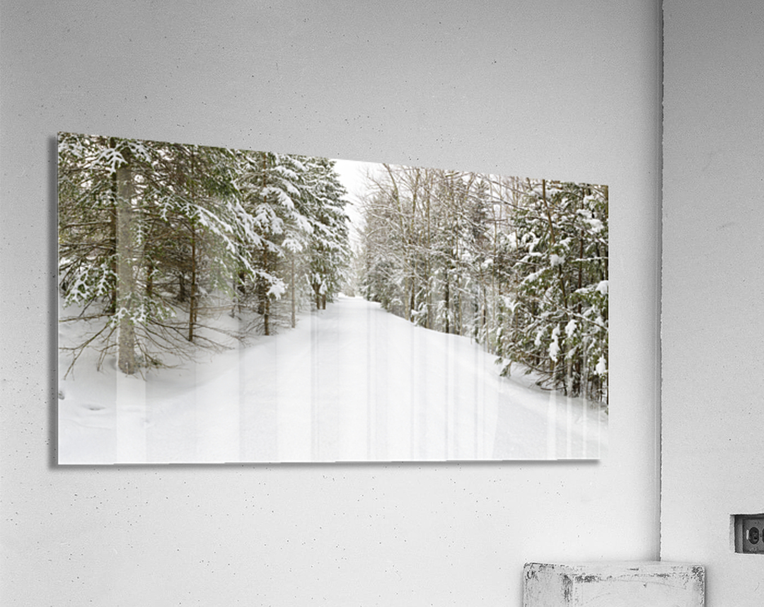 Franconia Bike Path - Franconia Notch New Hampshire Acrylic Print