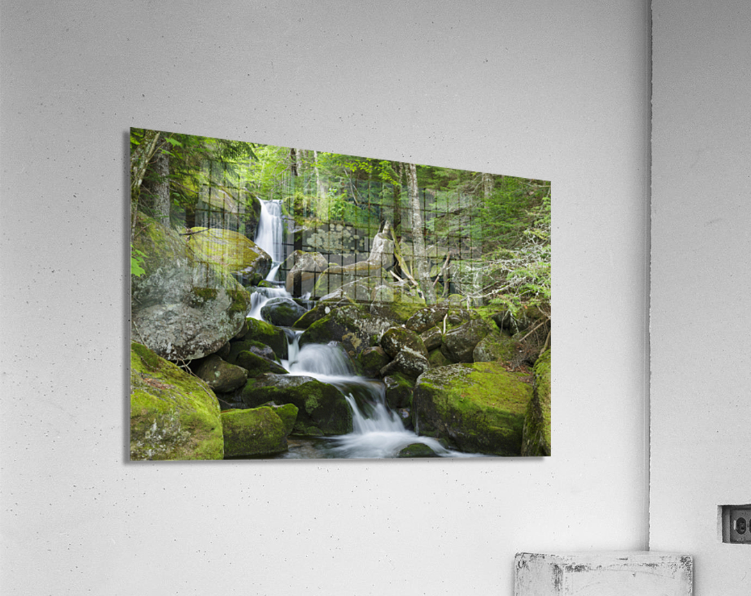 Cold Brook - Low and Burbanks Grant New Hampshire Acrylic Print