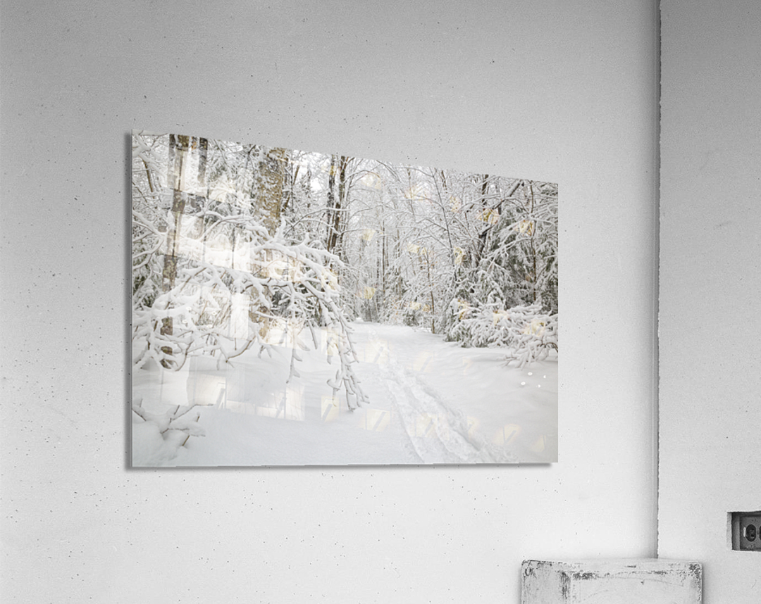 Lincoln Woods Trail - White Mountains New Hampshire Acrylic Print