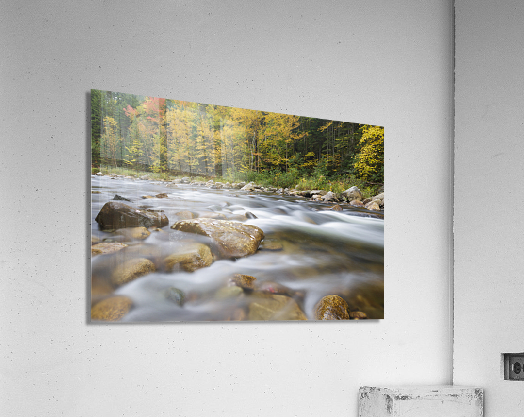 Ammonoosuc River - Carroll New Hampshire Acrylic Print