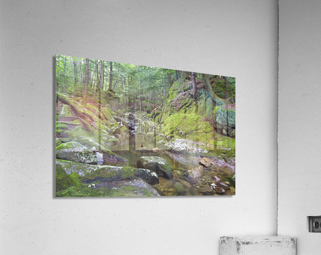 Walker Brook - Woodstock New Hampshire Acrylic Print