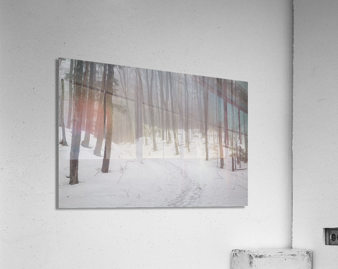 Flume Gorge - Lincoln New Hampshire Acrylic Print