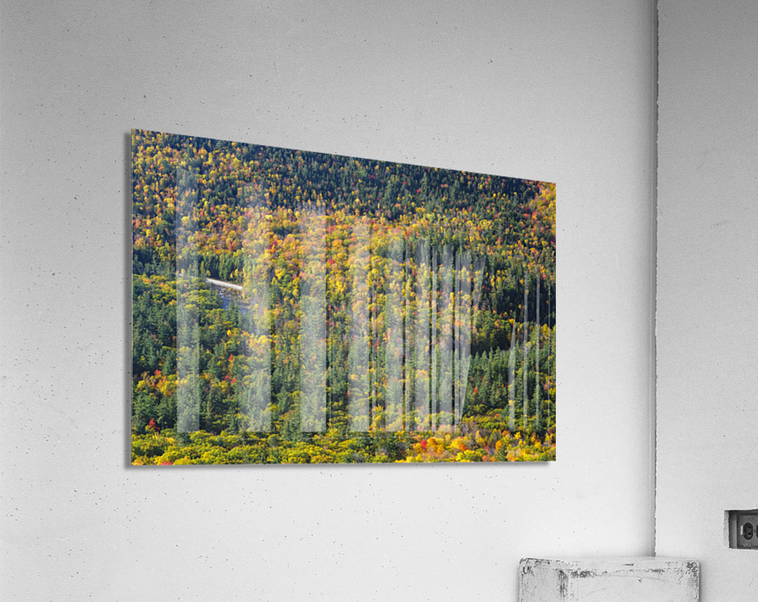 Boulder Loop Trail - White Mountains New Hampshire Acrylic Print