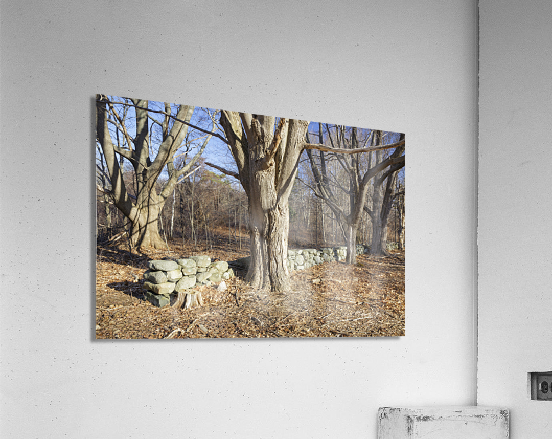 Odiorne Point State Park - Rye New Hampshire Acrylic Print