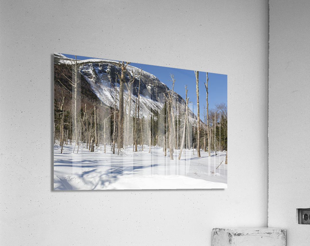 Pemi Trail - Franconia Notch White Mountains Acrylic Print