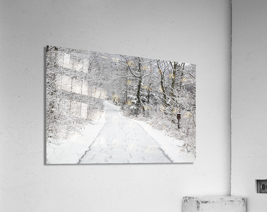 Franconia Bike Path - Franconia Notch New Hampshire Acrylic Print