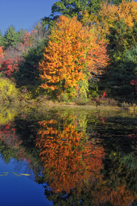 Clark Pond - Auburn New Hampshire