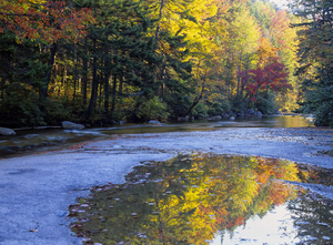 Swift River - White Mountains New Hampshire