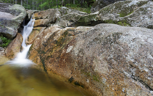 Mt Field Brook Cascades - Bethlehem New Hampshire
