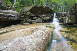 Mt Field Brook Cascades - Bethlehem New Hampshire