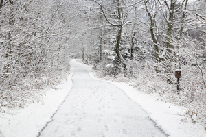 Franconia Bike Path - Franconia Notch New Hampshire