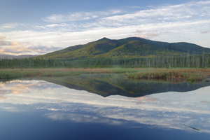 Cherry Mountain - Moorhen Marsh Pondicherry Wildlife Refuge