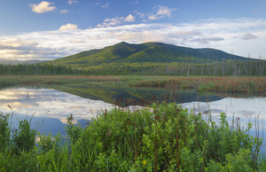 Cherry Mountain - Moorhen Marsh Pondicherry Wildlife Refuge