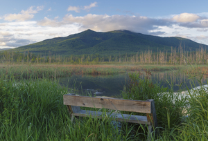 Cherry Mountain - Moorhen Marsh Pondicherry Wildlife Refuge