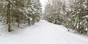 Franconia Bike Path - Franconia Notch New Hampshire