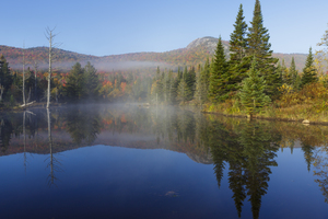 Wildlife Pond - Bethlehem New Hampshire