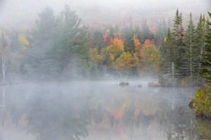 Wildlife Pond - Bethlehem New Hampshire