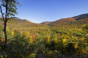 Crawford Notch - Harts Location New Hampshire