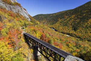 Willey Brook Trestle - Harts Location New Hampshire
