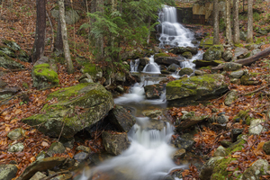Rollo Fall - Randolph New Hampshire