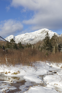Pemi Trail - Franconia New Hampshire
