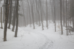 Flume Gorge - Lincoln New Hampshire