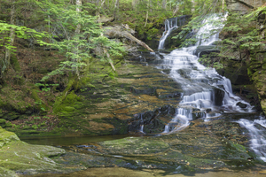 Tama Fall - Randolph New Hampshire 