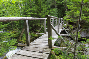 Randolph Path - Low and Burbanks Grant New Hampshire