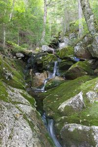 Elephant Head Brook - Carroll New Hampshire 