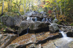Whitewall Brook - Bethlehem New Hampshire
