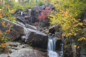Zealand Falls - Bethlehem New Hampshire