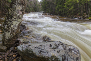 Pemigewasset River - Franconia Notch State Park New Hampshire