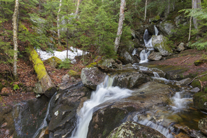 Elephant Head Brook - Carroll New Hampshire 