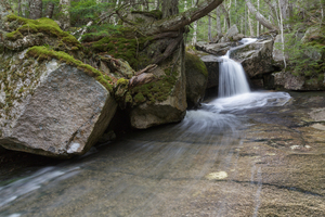 Whitehouse Brook - Lincoln New Hampshire
