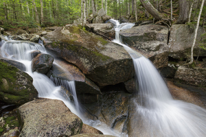 Whitehouse Brook - Lincoln New Hampshire