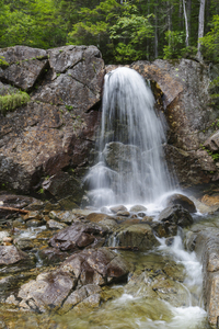 Pemigewasset Wilderness - White Mountains New Hampshire